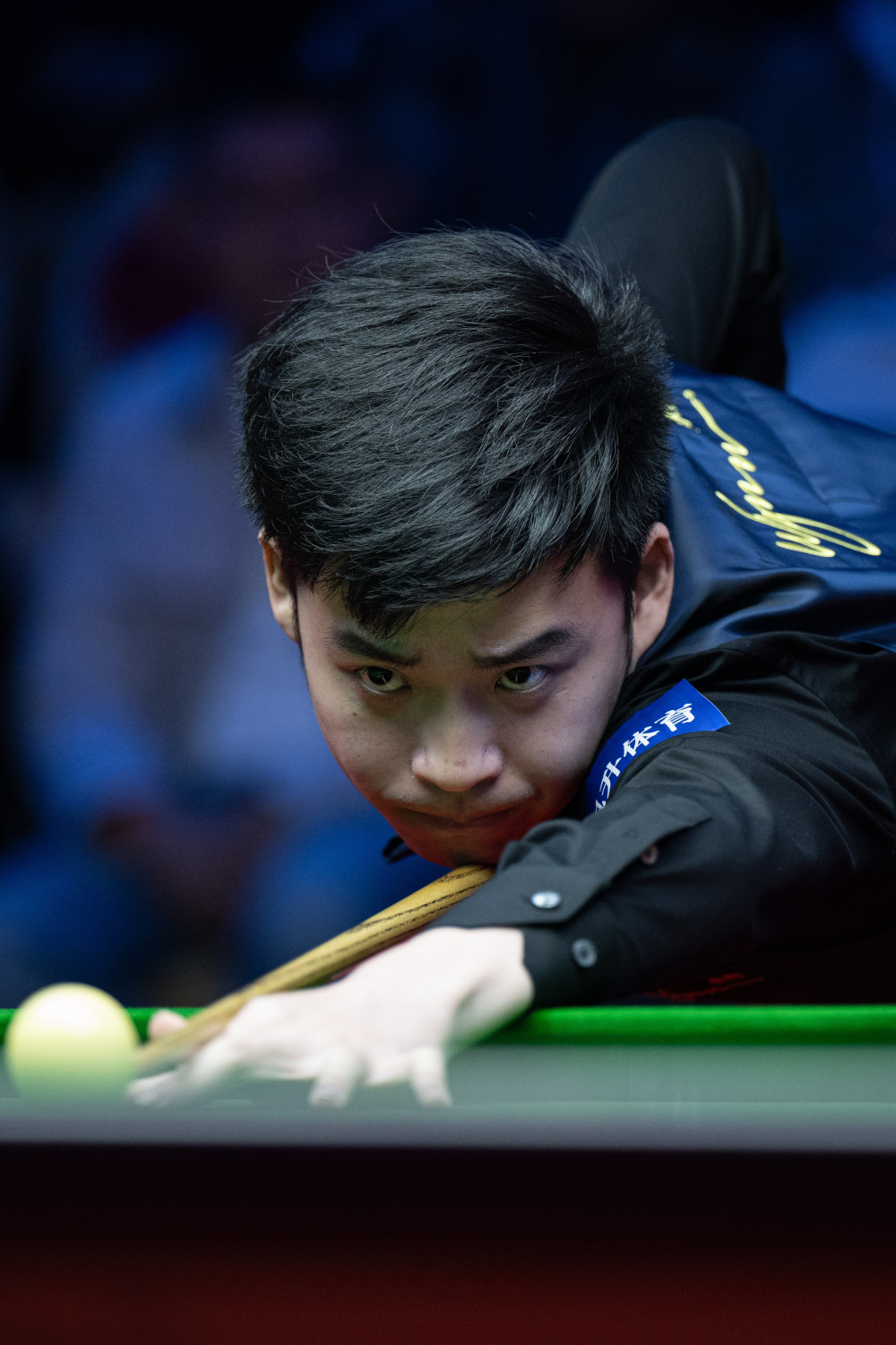 与沙约克的 与沙约克的